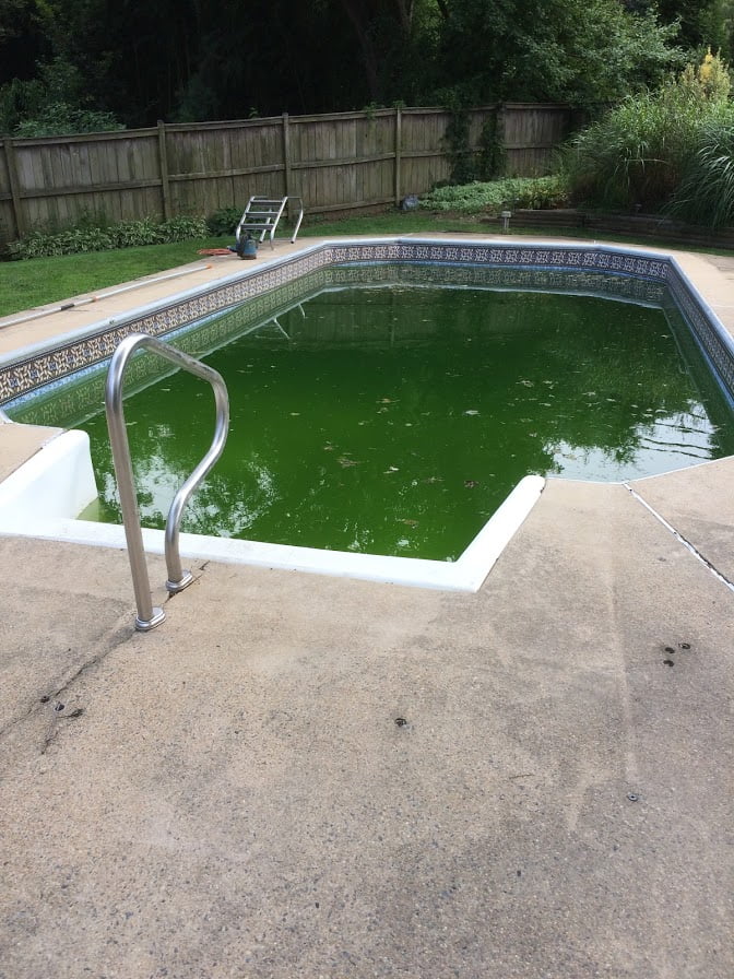 oakton pool 1